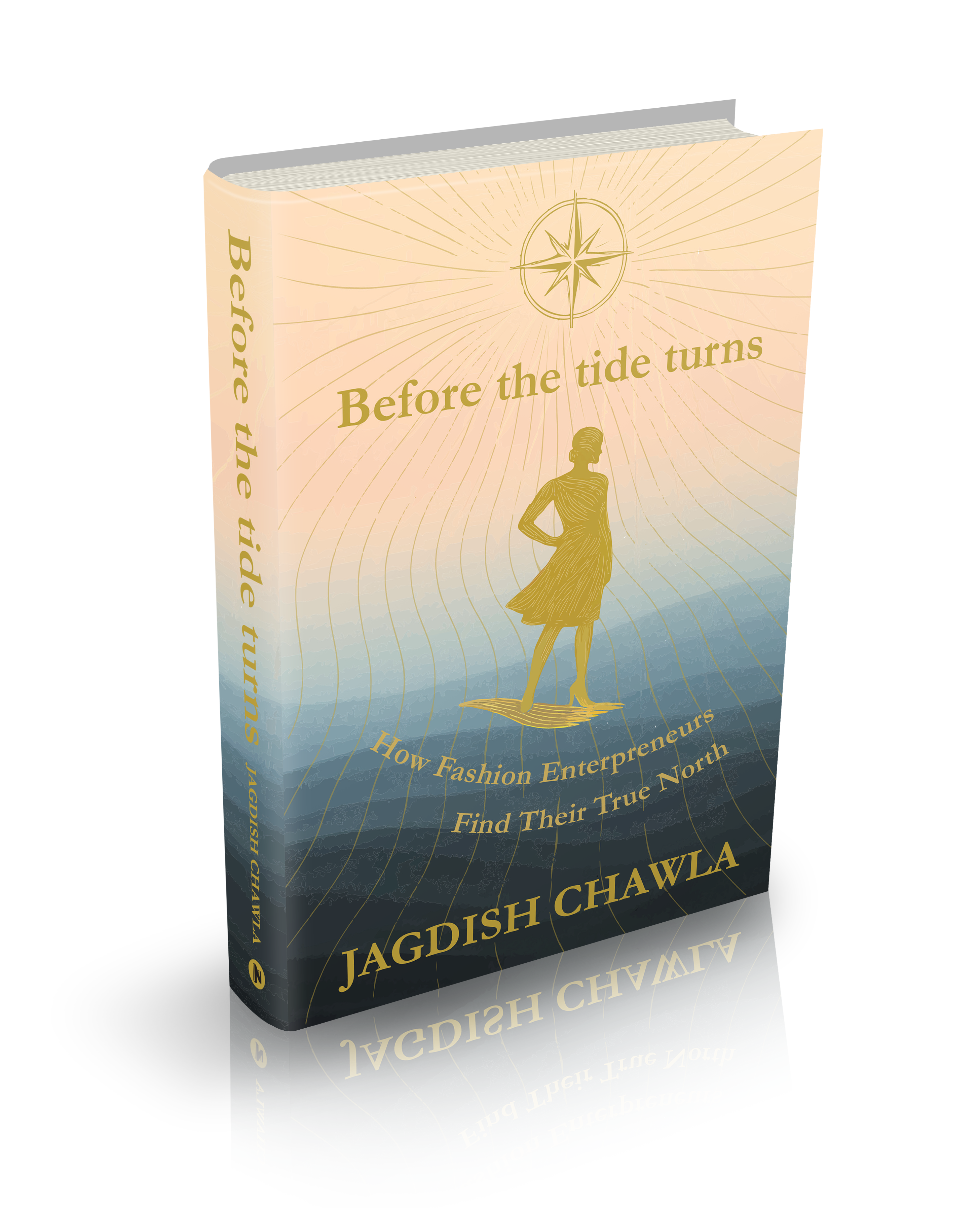 Before the Tide Turns Book Cover